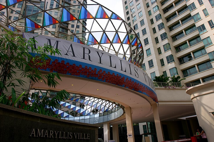 Amaryllis Ville