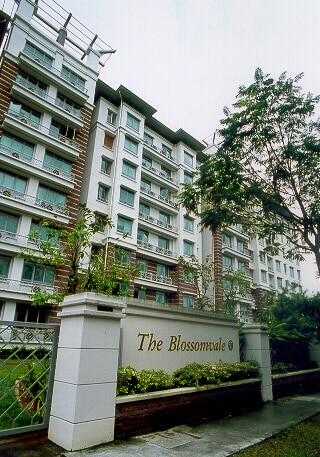The Blossomvale